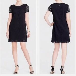 J. Crew Factory Black Lace Scalloped Hem Dress Black Size 14 NWT